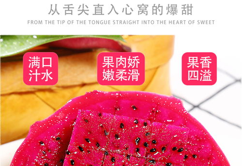 金都一號蜜寶紅心火龍果 現摘新鮮，甜蜜直達