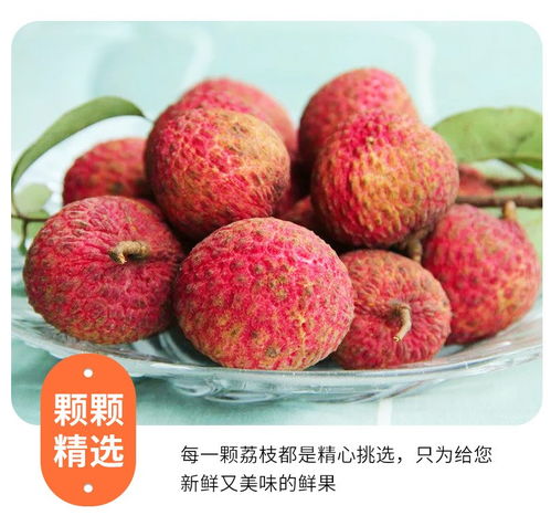高州白糖罌荔枝 當季鮮果，滋味直達——5斤裝整箱批發品鑒