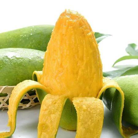 越南玉芒大青芒果 整箱新鮮批發，四季甘甜好選擇
