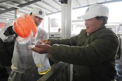 雙匯涉&ldquo;瘦肉精&rdquo;產(chǎn)品下架 工廠(chǎng)停產(chǎn)自查(組圖)